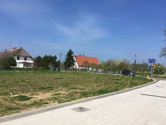 Landwirtschaftsfläche an der Ostsee mit Potential in herrlicher Gegend in Barendorf