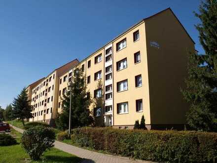 Gemütliche 3 Zimmer Wohnung mit Balkon im Grünen!