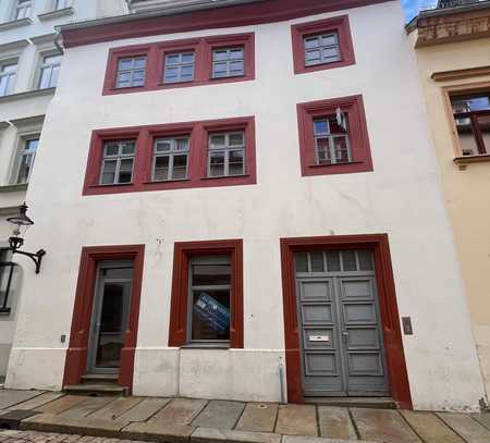 grandios schöne 2 Zimmer Wohnung mit Balkon und Einbauküche in der Freiberger Altstadt