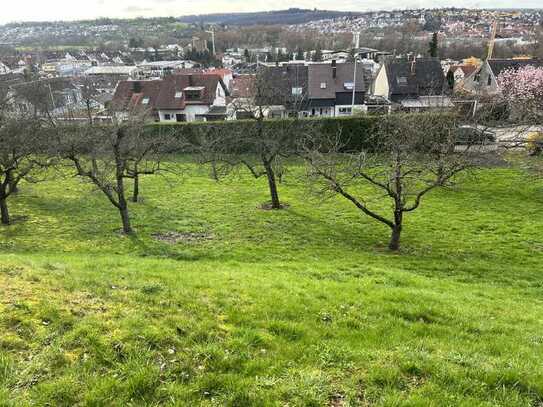 Rarität! Großer Bauplatz in reinem Wohngebiet mit Aussicht in bester Lage von Oberboihingen