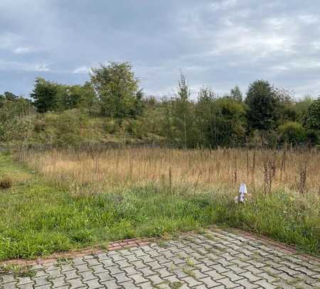 Familienfreundlich - Ruhig - Waldrandlage