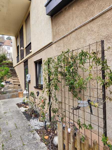                                                               Modernisiertes Reihenhaus mit 5 Zimmern in W&uuml;rzburg-Unterd&uuml;rrbach                                                       in Unterdürrbach (Würzburg)