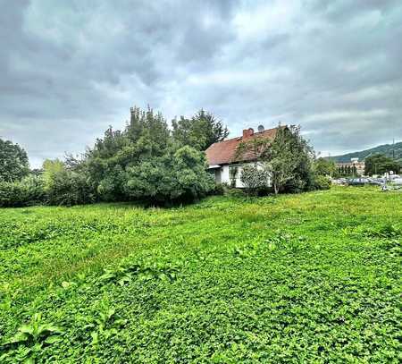 Weinheim- Haus mit mega Grundstück im Herzen der Stadt