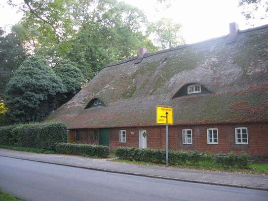 Attraktive und gepflegte 4-Raum-Wohnung mit Einbauküche in Hartenholm