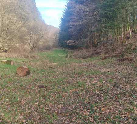 Wald-/Wiesenfläche zu verkaufen! 2.452m²