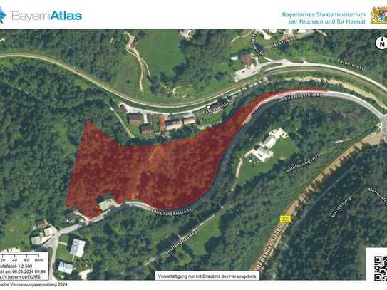 Wunderschönes Waldgrundstück zu Verkaufen - 27.814 m² Steilhang mit Gemischtem Bestand