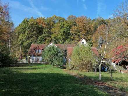 Verborgenes Juwel für Naturliebhaber und Individualisten
Gr. Grundstück mit Altbestand in Forchheim