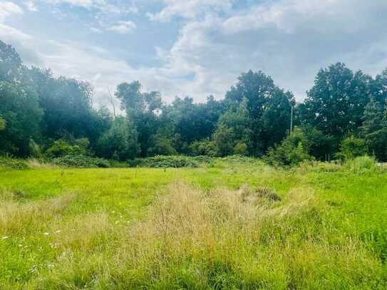 Baugrundstück direkt am Barockgarten Großsedlitz