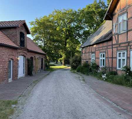 Historischer Dreiseithof - Idylle im Rundlingsdorf trifft auf moderne Nachhaltigkeit