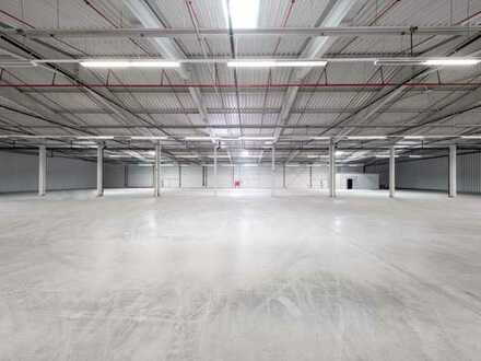 "BAUMÜLLER AG" - ca. 5.000 m² Hallenfläche - ebenerdige Andienung + Rampe!
