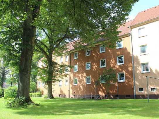 Wohnen im Grünen - frisch sanierte 2-Zimmer Wohnung zu vermieten