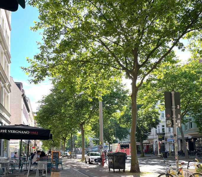 Renovierte 3-Zimmer-Wohnung in Leipzig-Lindenau