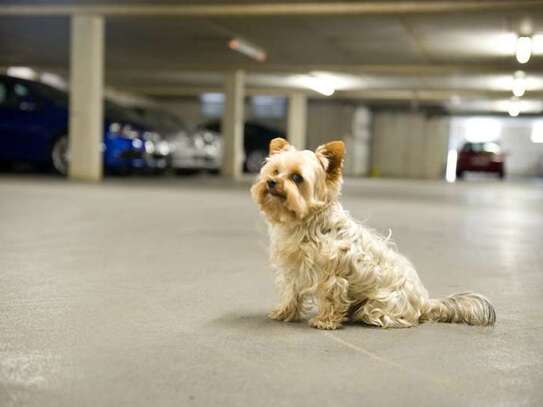 Tiefgaragenstellplatz in geflegtem Garagenhof einer guten Wohnanlage