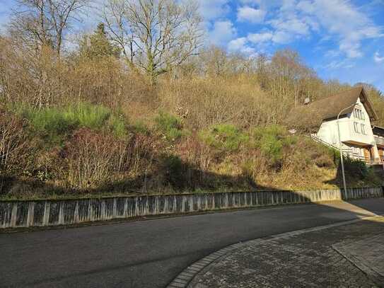 Großzügiger Bauplatz