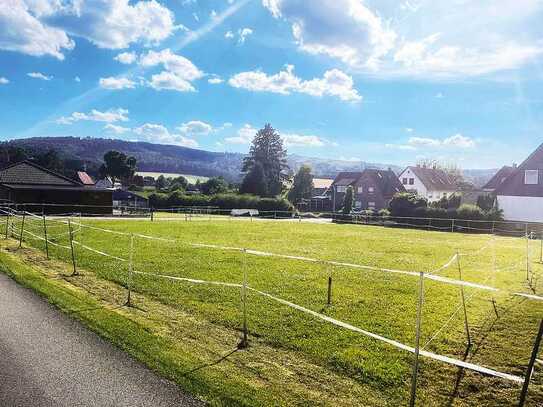 Vertragsfreies Baugrundstück in Lüerdissen