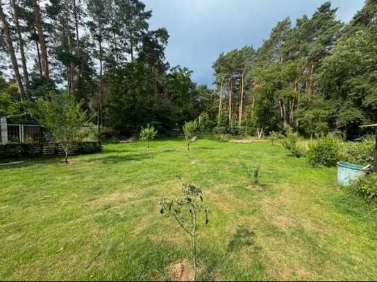 Bauträgerfreies Grundstück in Stadtnaher Waldlage