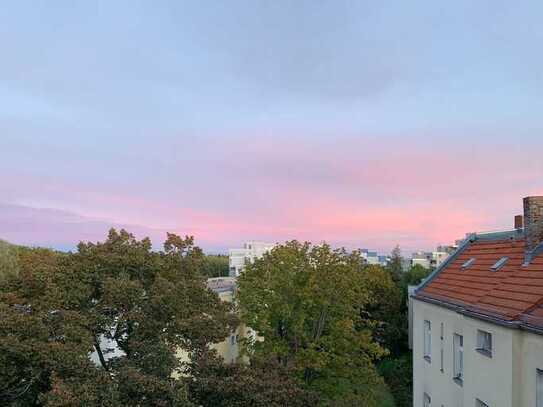 Helle und ruhige 4-Zimmer-DG-Wohnung mit Dachterrasse in Berlin Mitte/Wedding