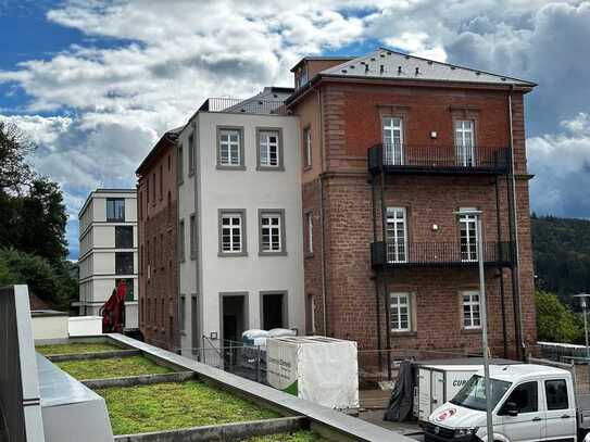 Energieeffizientes Denkmal der Extraklasse mit Terrasse/Garten und Aussicht 2,5 Zimmer