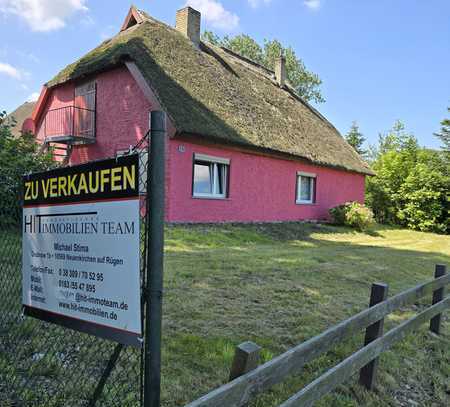 Resthof mit Bauernhaus, Scheune, Stall und Weide