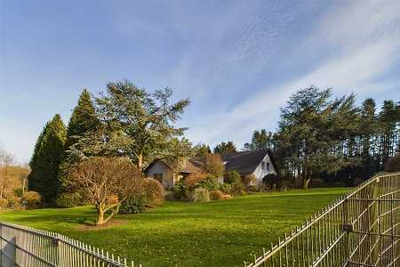 Wohnen und Arbeiten auf parkähnlichem Grundstück zwischen Stadtwald und Rüttenscheid