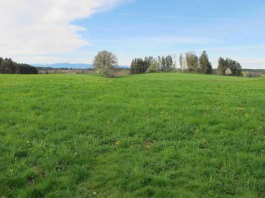 2 große Landwirtschaftliche Wiesenflächen (Mooswiesen) u. kleine Waldfläche anliegend a.d.Grundstück