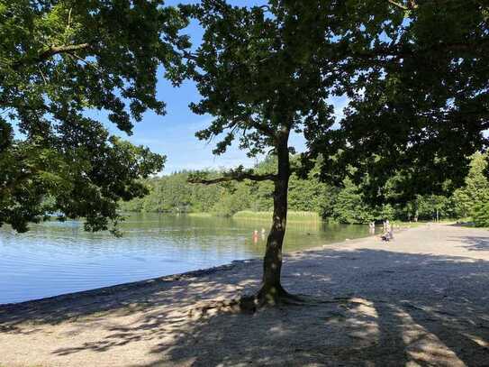 Traumlage, Natur, Pferde, 2 Wohn-Häuser, Seelage von Lütjensee mit großem Grundstück