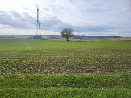 "WERTVOLLES ACKERLAND MIT ÖKOLOGISCHER AUSGLEICHSFLÄCHE"