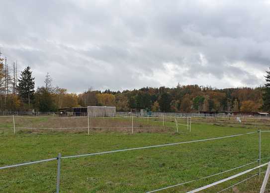 PLZ: 86199: 21.000 m² Pferdekoppeln und 2 Wohnungen