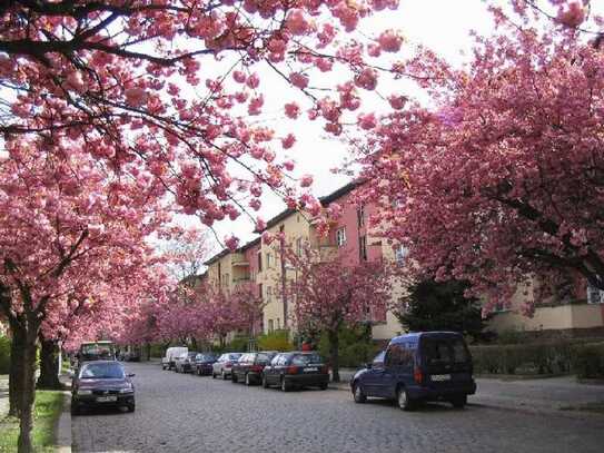 Tolle Wohnung in ruhiger Lage!