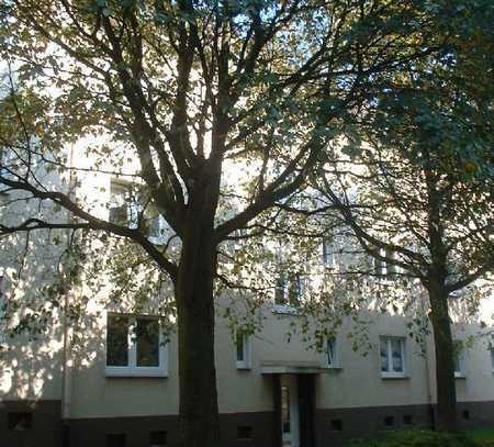 Gemütliche 2 Zimmer mit neuem Badezimmer!