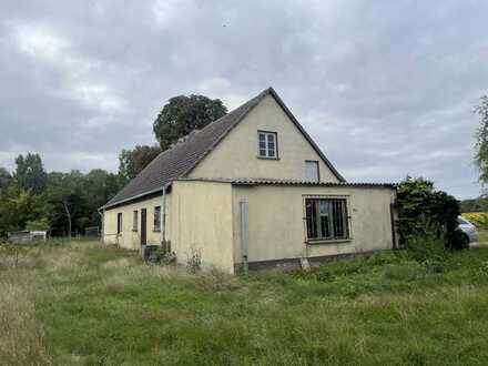 Insgesamt 163qm Wohn-/Nutzfläche: Landhaus mit Holz-Zentralheizung