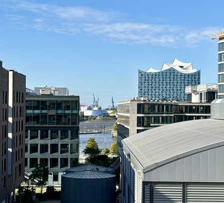 Familienfreundliches Juwel mit privater Dachterrasse und Elbphiblick