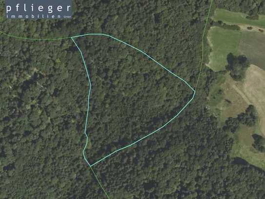 ca. 3,74 ha Mischwald bei Ringelai!