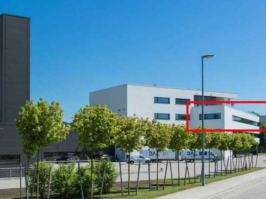 Ettlingen Industriegebiet - Helle, moderne Büroräume 200 m²