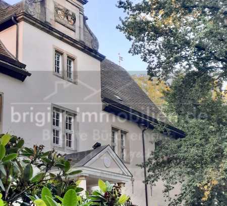 PROVISONSFREI #Schloss Deutschland NRW #SCHLOSS ALVERDISSEN #LANDSITZ #HERRENHAUS