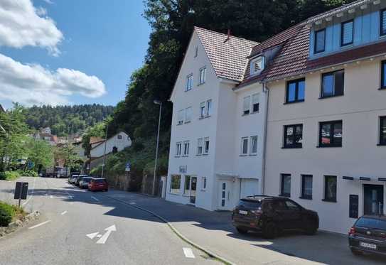 Geräumiges, günstiges 21-Raum-Mehrfamilienhaus mit gehobener Innenausstattung in Calw