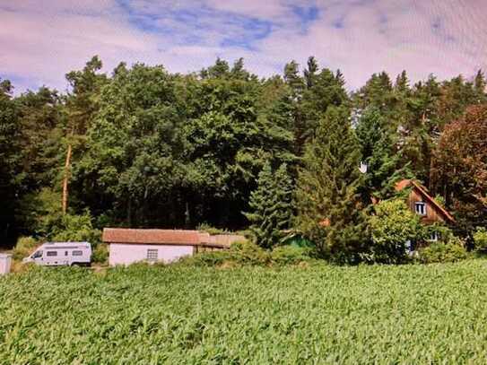 EFH in sehr idyllischer Einzellage am Waldrand nähe Rohrbach