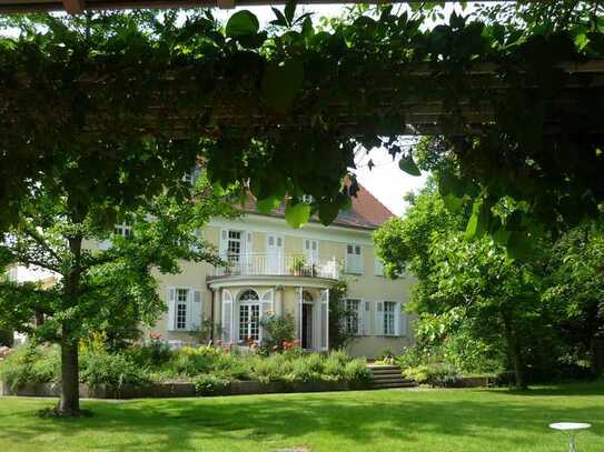 Eine Rarität Villa und 5 Familienhaus auf 8200m² im Zentrum von Baienfurt