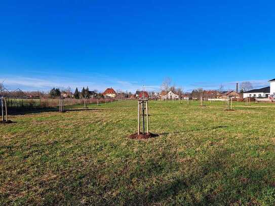 OBSTWIESE zur Pacht; kein Bauland! Für Naturfreunde: Erholung pur.