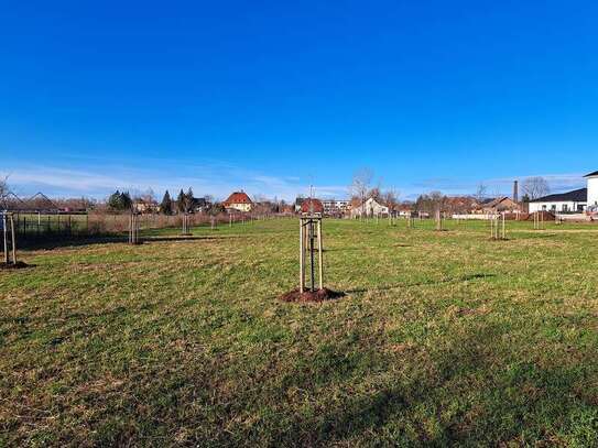 OBSTWIESE zur Pacht; kein Bauland! Für Naturfreunde: Erholung pur.