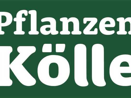 Gewerbefläche für Obst und Gemüse / Feinkost im Pflanzen-Kölle Gartencenter Stuttgart