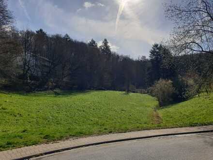 Baugrundstück in wunderschöner Waldrandlage