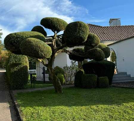 Mediterranes Gefühl in einer eleganten, großen Villa im Park