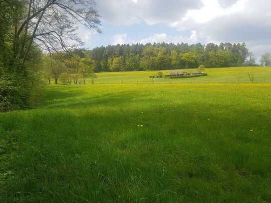 RANCH sucht Cowboy und natürlich auch Cowgirls!