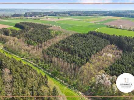 *Waldgrundstück**Mischwald**Leichte Hanglage**