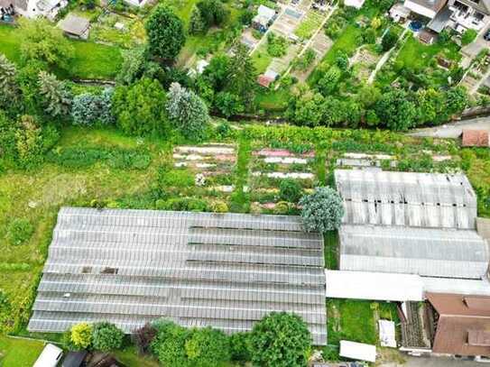 Großes Entwicklungsgrundstück zur Wohnbebauung direkt am Baumbach in Walheim