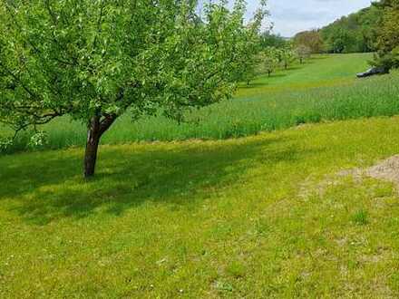 "Gütle" in schöner Lage von Unterhausen mit Rundum-Blick!