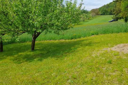 "Gütle" in schöner Lage von Unterhausen mit Rundum-Blick!