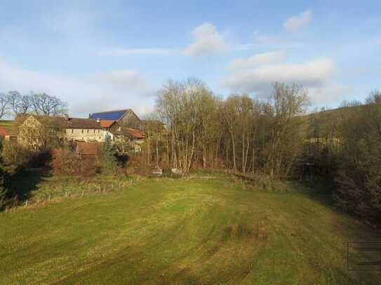 Sonniges Baugrundstück, umgeben von Natur mit riesen Grünfläche in Unterwaiz-Heinersreuth!