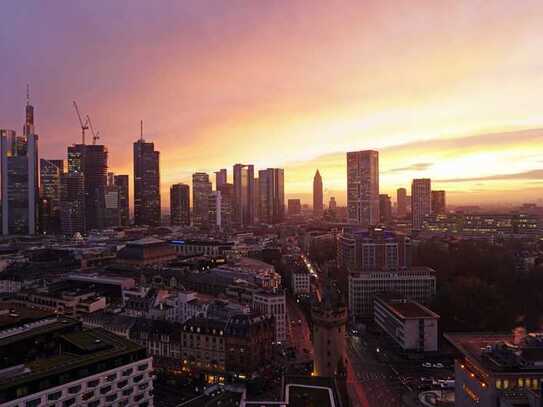 Einzigartiger Ausblick auf die Frankfurter Skyline: Exklusive und kürzlich sanierte 2-Zimmer-Wohnung